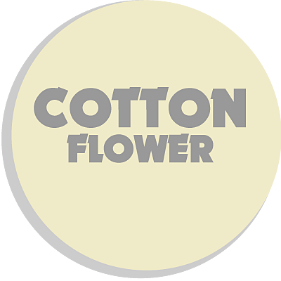 Uitreiken Onderhoudbaar lekken Flexa Creations Muurverf Extra Mat 1 liter standaardkleuren cotton flower |  www.colorstore.nl